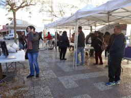 IMG-20171201-WA0010